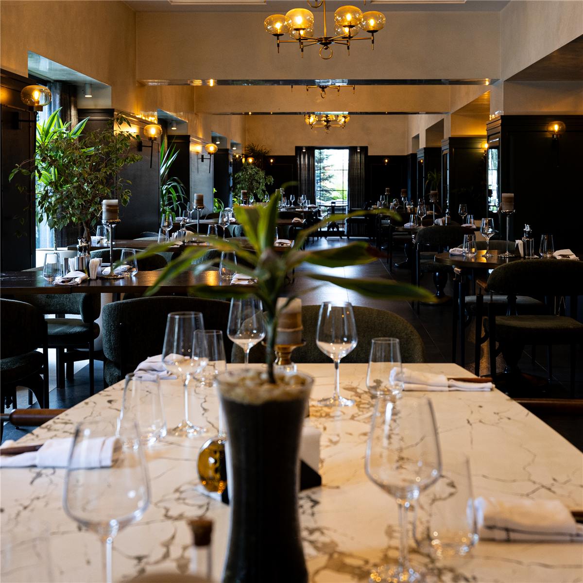 COTTO interior