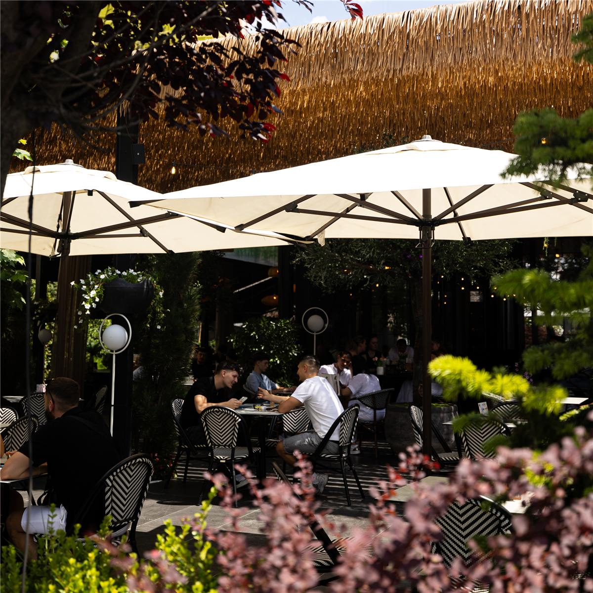 COTTO terrace